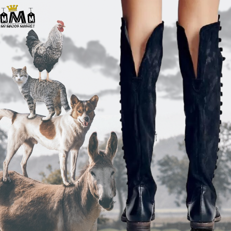 BOTTES FEMMES - CAVALIÈRES D'EXCEPTION - SAISON 2022 - 110.00 € |my major market BOTTES FEMMES - CAVALIÈRES D'EXCEPTION - SAISON 2022 - 110.00 € |my major market